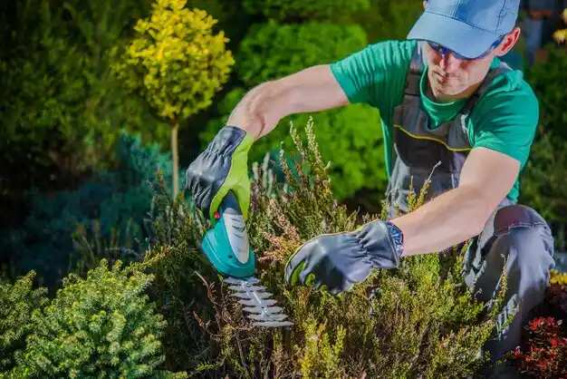 landscaping services Cade